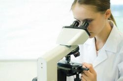 Анализ мочи на посев: как сдавать, расшифровка результатов