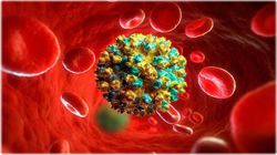 Анализ на гепатит С: как сдавать, расшифровка