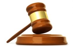 Источники административного права и политика