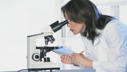 Что показывает анализ крови на ПЦР? Как подготовиться к анализу