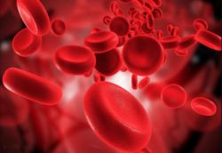 PLT в анализе крови: расшифровка у взрослых и детей