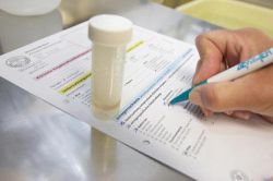 Как сдавать анализ мокроты: описание процедуры, правила и рекомендации