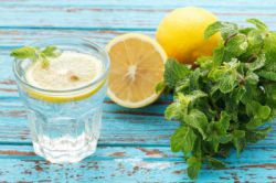 Водная диета: отзывы и результаты