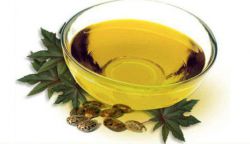 Касторовое масло для лица от морщин: отзывы, способы применения