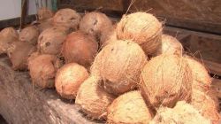 Кокосовые наматрасники: отзывы покупателей