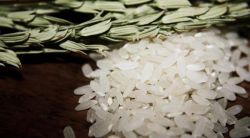 Рисовое вино в домашних условиях: рецепт приготовления