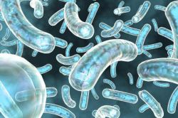 Анализ на флороценоз - что это такое? Расшифровка, норма, отклонения