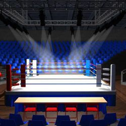 Боксерский ринг: типы, размеры. Оборудование для бокса