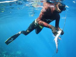 Ласты для подводной охоты: виды, размеры, советы по выбору