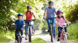 Велосипеды Shulz: обзор, характеристики, производитель, отзывы