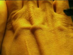 Что такое тургор кожи и от чего он зависит