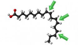 Что такое омега-3, омега-6 и омега-9