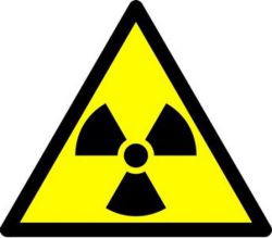 Что выводит из организма радиацию, какие продукты?