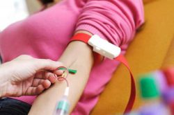 За что отвечает гормон ТТГ у женщин? Тиреотропный гормон (ТТГ): норма