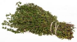 Что такое чабрец? Полезные свойства и применение чабреца. От чего помогает чабрец