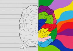 За что отвечает левое полушарие? Языковые способности. Логическое мышление