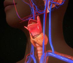Что такое воспаление? Причины, симптомы и лечение