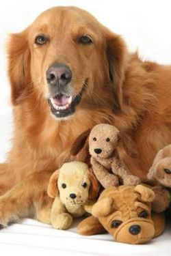 Как понять, что у тебя глисты? Признаки и симптомы