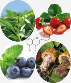 Флавоноиды - что это, определение, действие и свойства