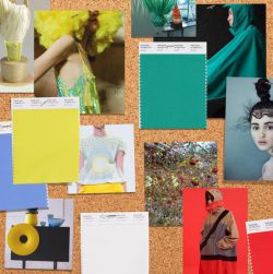 Какой цвет в моде? Модные тенденции цвета