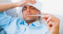 Что такое лихорадка? Симптомы, лечение и последствия мышиной лихорадки