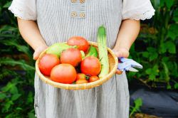 Что с чем можно и нельзя есть: особенности, сочетания и рекомендации