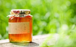 Чай с лимоном, имбирем и медом от простуды: рецепт, польза