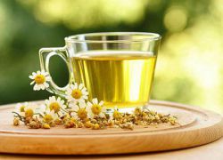 Какие травы понижают давление при гипертонии?