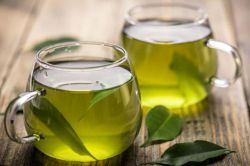 Чай для почек: инструкция по применению, полезные свойства, особенности и отзывы