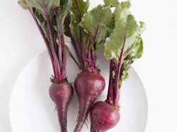 Полезные свойства свеклы и противопоказания