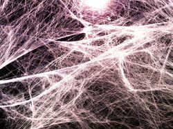 Что такое фасция: определение, строение и функции