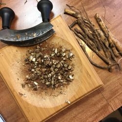 Трава девясил: лечебные свойства, противопоказания, особенности применения и рецепты