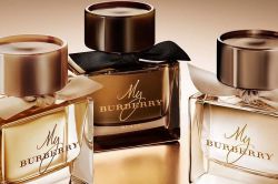 Духи Burberry: описание аромата, особенности, виды и отзывы покупателей