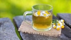 Ромашка аптечная. Применение и свойства растения