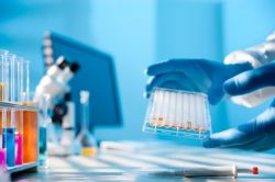 Анализы на гормоны: предназначение, виды, подготовка и расшифровка результатов