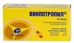 Винпотропил: инструкция, показания к применению, состав, аналоги, побочные эффекты и противопоказания