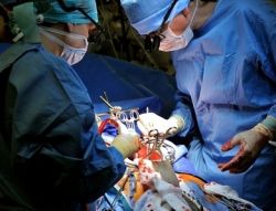 Асептика и антисептика - важнейшие понятия для хирургии