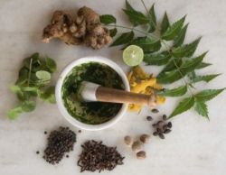 Эффективное лечение народными средствами молочницы