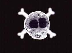 Деструкция - это что такое в медицине