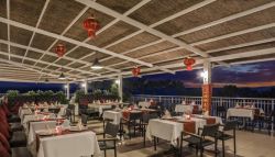 Delphin Botanik 5* (Турция/Окурджалар): фото, описание номеров, советы и отзывы туристов