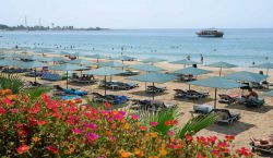 Отель Antik Garden Hotel 4* (Турция, Аланья): фото, описание номеров, сервис, советы и отзывы туристов
