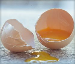 Сальмонеллез: лечение и профилактика