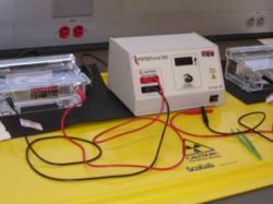 Электрофорез с эуфиллином: механизм воздействия