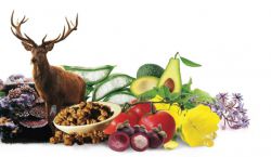 Биологически активные вещества - это... Понятие, определение, общая характеристика