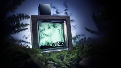 Dsquared Wood - описание линейки ароматов и бренда