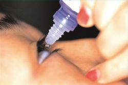 Синегнойная палочка. Лечение инфекции