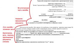 Как написать жалобу на врача: образец и инструкция по составлению