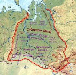 Васюганские болота: где находятся, описание, интересные факты