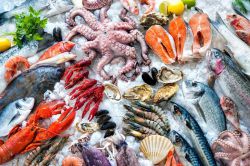 Вкусные блюда из морепродуктов: рецепты с фото