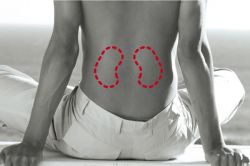 Больные почки: симптомы заболевания